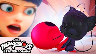 КАКОГО ПОЛА КВАМИ? ЛЕДИ БАГ И СУПЕР КОТ 6 СЕЗОН MIRACULOUS LADYBUG 6 SEASON  WHAT DO KWAMI EAT?