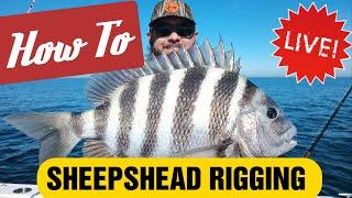 How to Rig for Sheepshead Fishing - INSHORE OR OFFSHORE