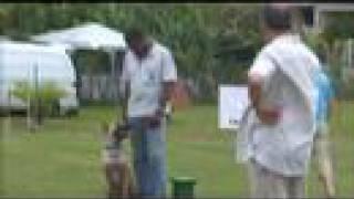 CSAU - COUPE RING MARTINIQUE 2008