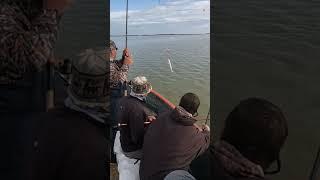 The Redfish Venice feeder rod at 3.90 is a spectacular rod #fishing #mdqteam #fishing