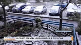 Жителей области удивил майский снегопад