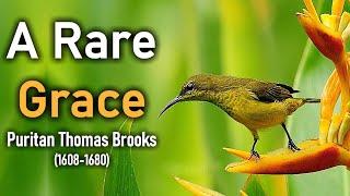 A Rare Grace - Thomas Brooks (Christian devotional reading)