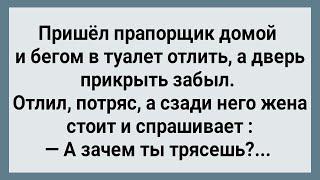 Как Прапорщик в Туалете Тряс! Сборник Свежих Анекдотов! Юмор!