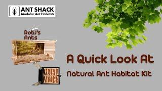 ANT SHACK - Formicarium & Ant Farm Shop | Natural Ant Habitat Kit