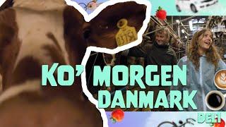 På den anden side - Ko' Morgen Danmark - Episode 3, del 1 af 2