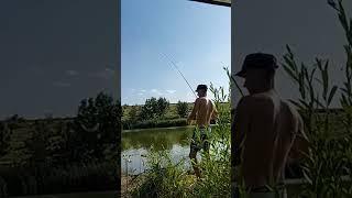 Ловля карася. Рыбалка на карася. #fishing #риболовляукраїна #карась