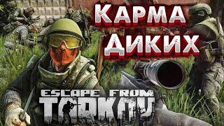 Карма = Репутация Диких | Качать или Нафиг? в Escape From Tarkov