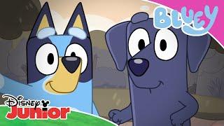 Camping Day ️ | Bluey  | Disney Junior MENA