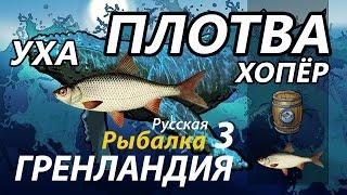 Плотва Хопёр /Уха / РР3 [Русская Рыбалка 3 Гренландия]