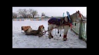 Сагаалган 2016 в Улюне 2016 1 часть