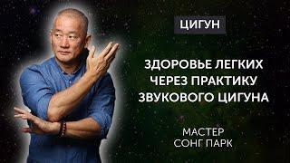 Как звуки влияют на дыхание: от носа до клеток ? | Мастер Сонг Парк | Академия Киайдо