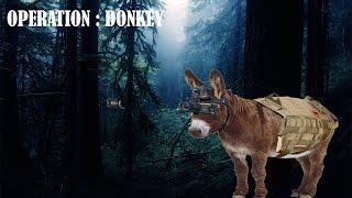 Operation: Donkey (Black Desert Online)