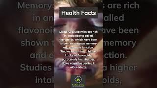 Archaic Living Health Facts: Blueberries can improve memory #archaicliving #healthfacts
