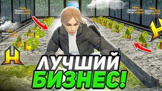 ЛЕГКИЕ ДЕНЬГИ ДЕЛАЮ НА ОГОРОДАХ! ОГОРОД - ЛУЧШИЙ БИЗНЕС НА RADMIR RP / HASSLE ONLINE