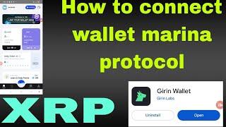 How to connect wallet in Marina protocol