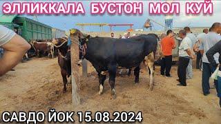 15 августа 2024 ЭЛЛИККАЛА БУСТОН МОЛ БОЗОР НАРХЛАР