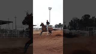 #nsca #omoksee #horse #rodeo #horseshow #western #westernriding #aqha #youtubeshorts #subscribe