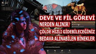 Deve ve Fil Görevleri / Nerden Alınır? / Nasıl Yapılır? #BDORehber32