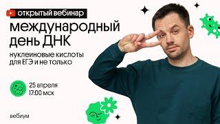 Нуклеиновые кислоты: строение и функции | ДНК и РНК | ЕГЭ по биологии 2021