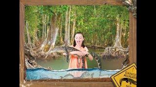 Wild Florida Airboat Tours and Gator Park