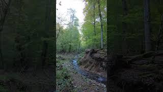 Yedigöller, Bolu, Turkey #travel #bolu  #turkey #holiday #walkingtour #nature #autumn #forest