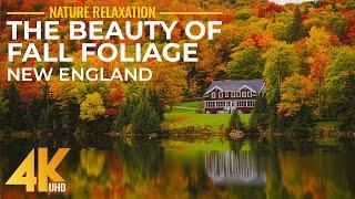 Most Scenic Fall Foliage Destinations of New England, USA - 4K UHD Autumn Relaxation Video