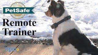 Remote Trainer from PetSafe