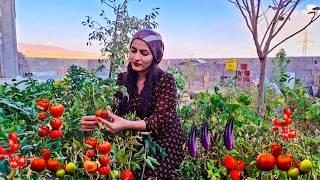 Cooking Parabij | Farm-to-Table:Exploring Nomadic Life in Iran,Fried tomato and eggplant in village