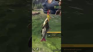Icarus пошли на рыбалку) #shorts