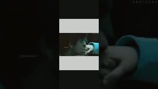 Only SRK Lovers | WhatsApp Status | Shaikh Rehan