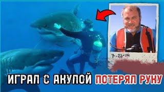 Ужасные Нападения Акул Попавшие На Камеру