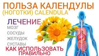 Польза Календулы (Calendula) Ноготки l Лечение l Как использовать l Важно для здоровья