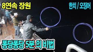 퐁당퐁당의 비밀(비법) 8연속 장원한 한치 오징어 낚시 원
