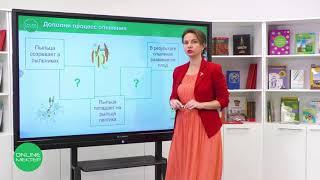 4 класс. Естествознание. 5 урок. Как образуются семена?