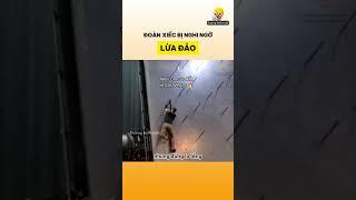 Đoàn xiếc bị nghi ngờ lừa đảo