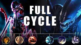 Alien Xenomorph Life Cycle Explained - Egg to Queen and Beyond