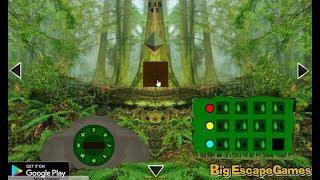 Big Seral Forest Escape walkthrough Bigescapegames.