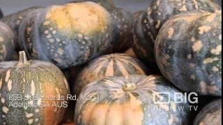 Food | Clinton's Organic Shop | Magill | 5072 | Big Review TV