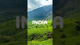 India Travel Guide #indiantouristdestination #travelguide #india #indianfood #traveltips