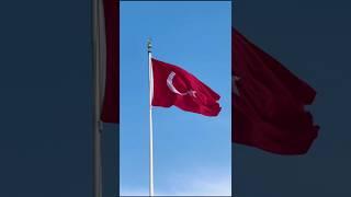Flag trend video #trolface #flag
