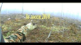 ОХОТА НА ЛОСЯ 2018 Hunting elk bull." 2018