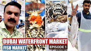 waterfront market dubai | dubai fish market | World's Best clean and hygienic fish Market