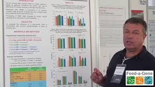 Rapeseed meal and enzyme supplementation on growth performance and nutrient digestibility in pigs