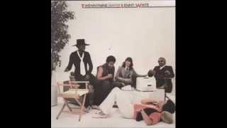 Twennynine Feat. Lenny White - Best Of Friends