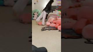 Emiru Jumps Into The Kirby Pile