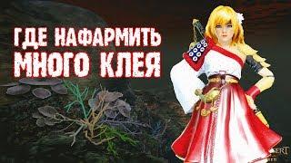 [Black Desert] Где нафармить много клея