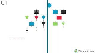 Organizational Charts in CT’s hCue Entity Management Platform