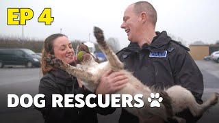 The Dog Rescuers: Episode 4 - Service Dogs | Full Documentary