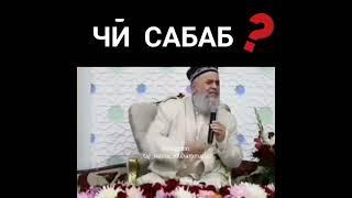 Хочи Мирзо хазрати Анас