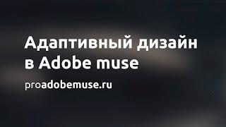 Полный обзор адаптивного дизайна в Adobe Muse